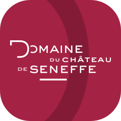 App Icon Musée du Verre